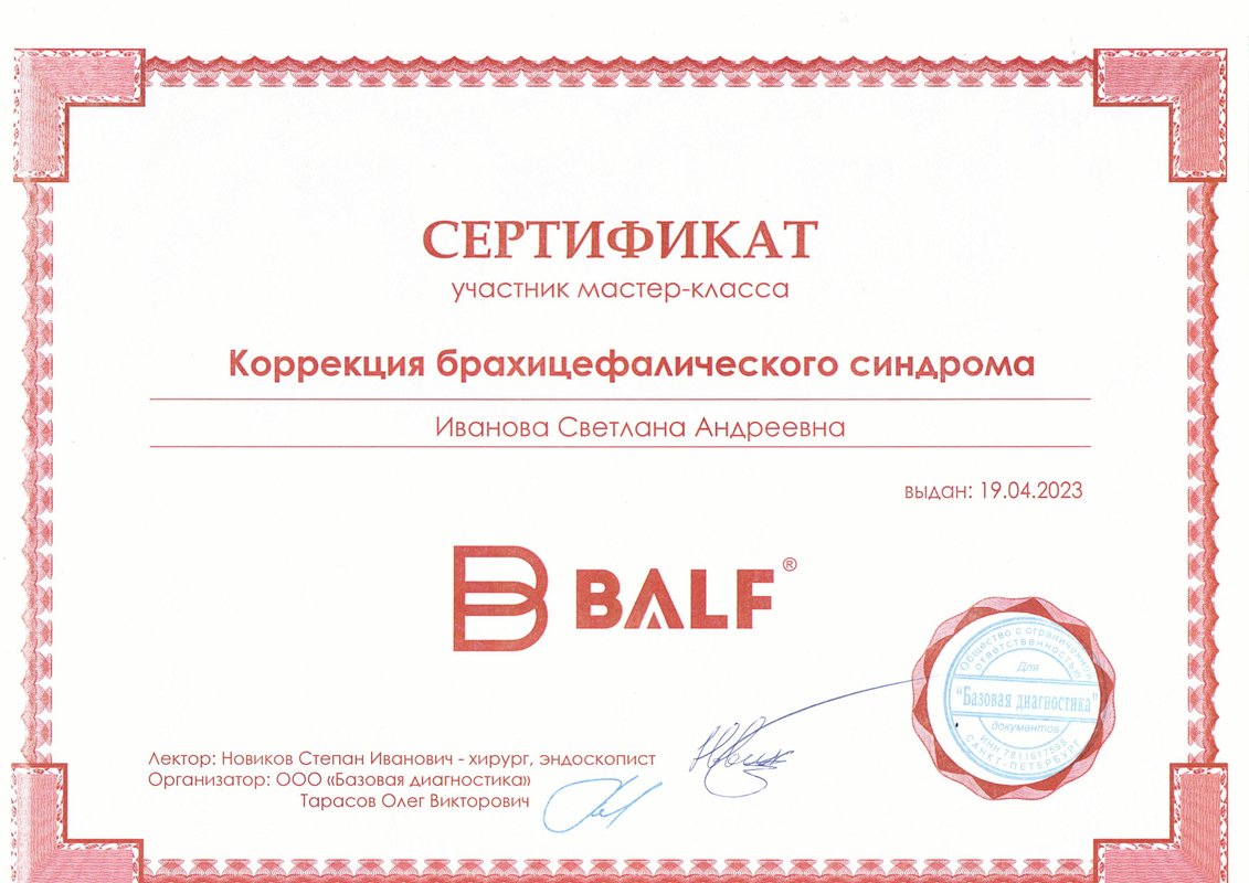 Документ или сертификат