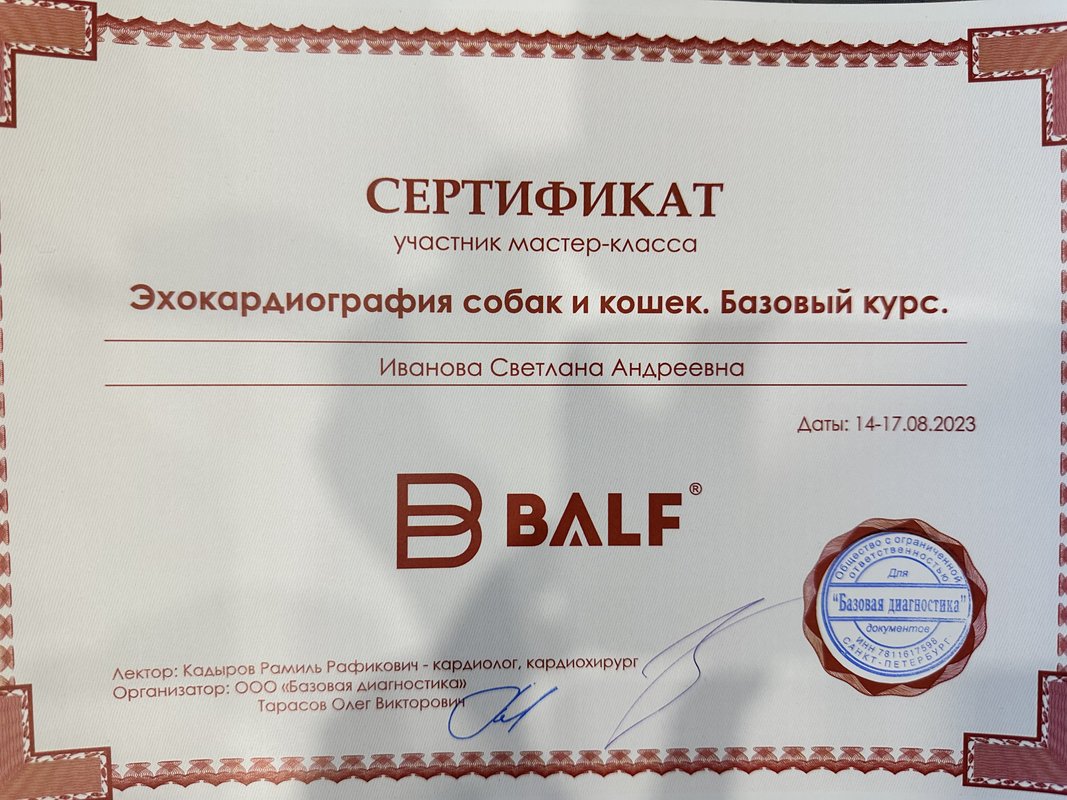 Документ или сертификат
