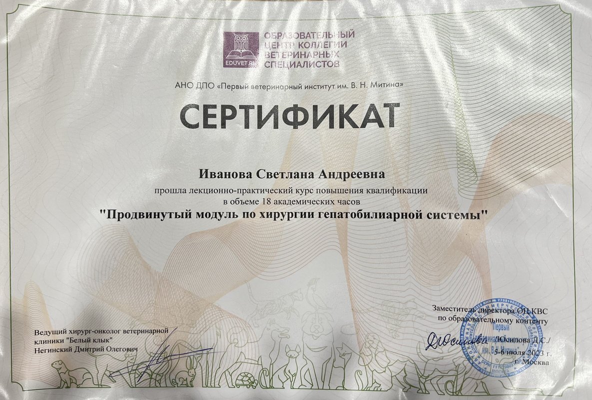 Документ или сертификат