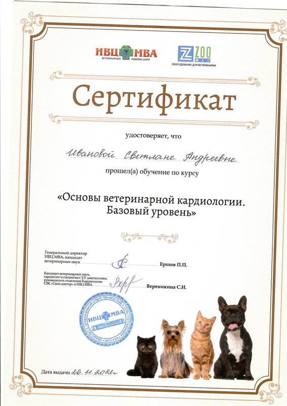 Документ или сертификат