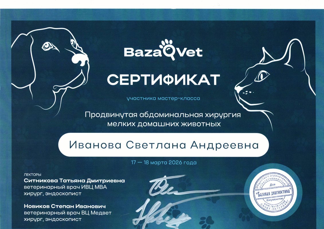 Документ или сертификат