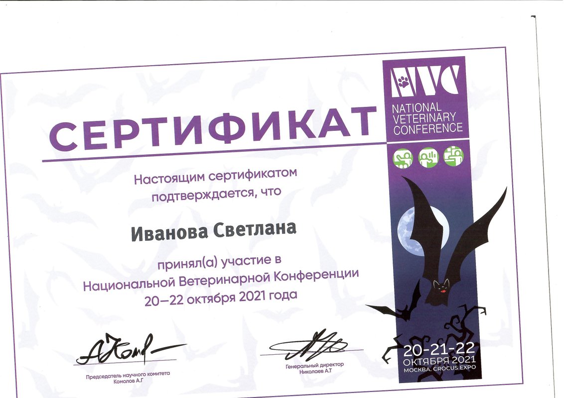 Документ или сертификат
