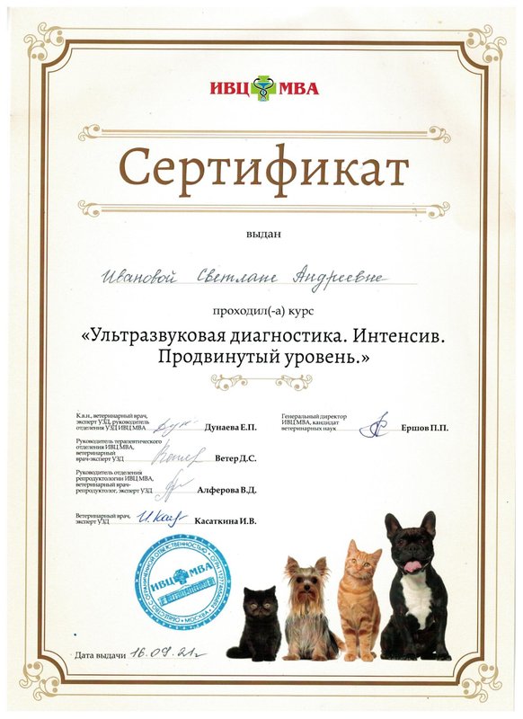 Документ или сертификат