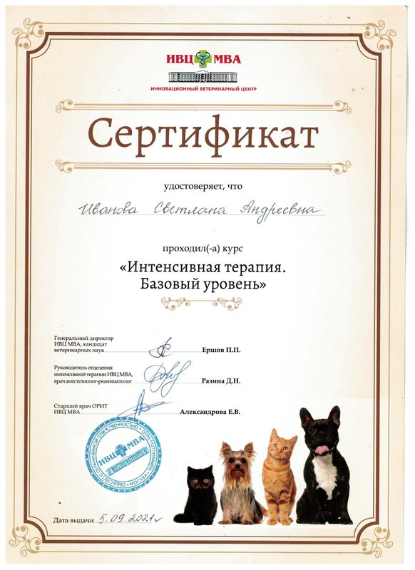 Документ или сертификат