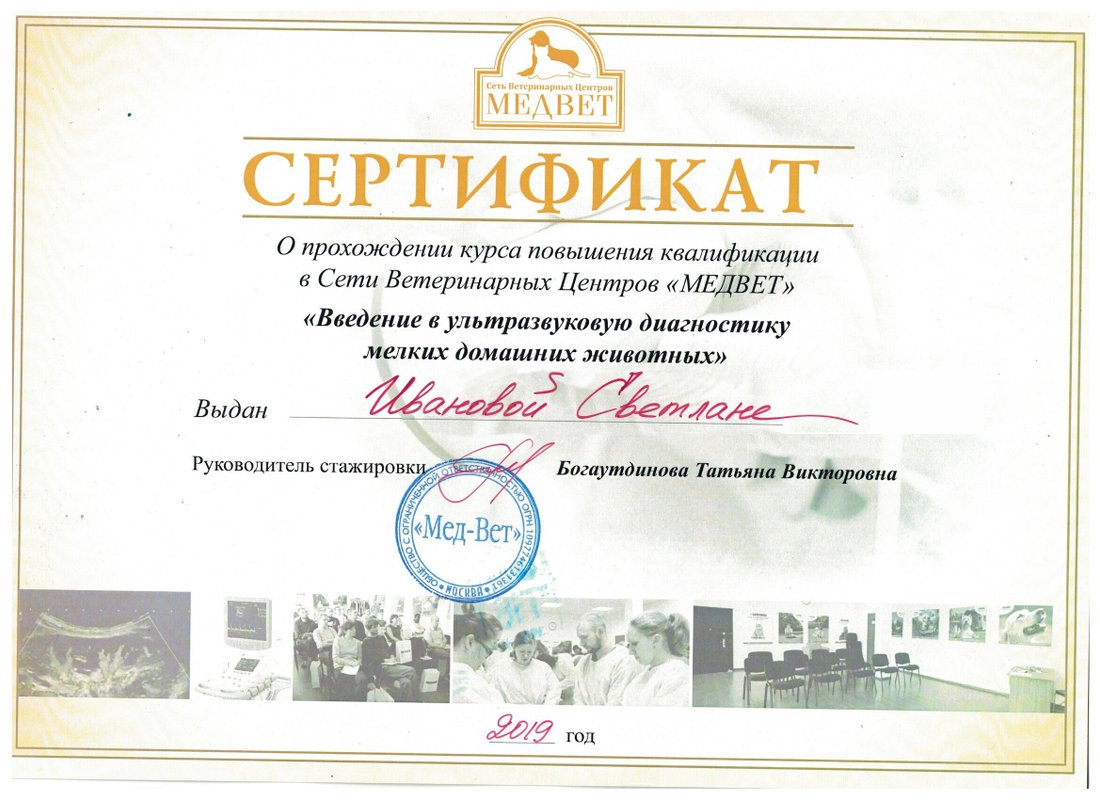 Документ или сертификат