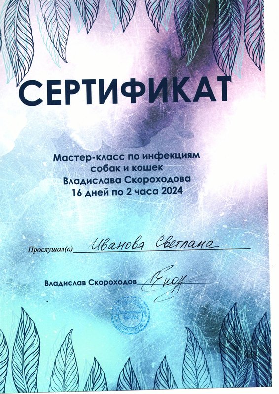 Документ или сертификат