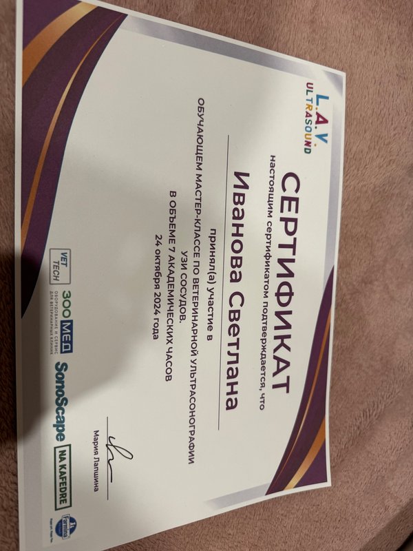 Документ или сертификат