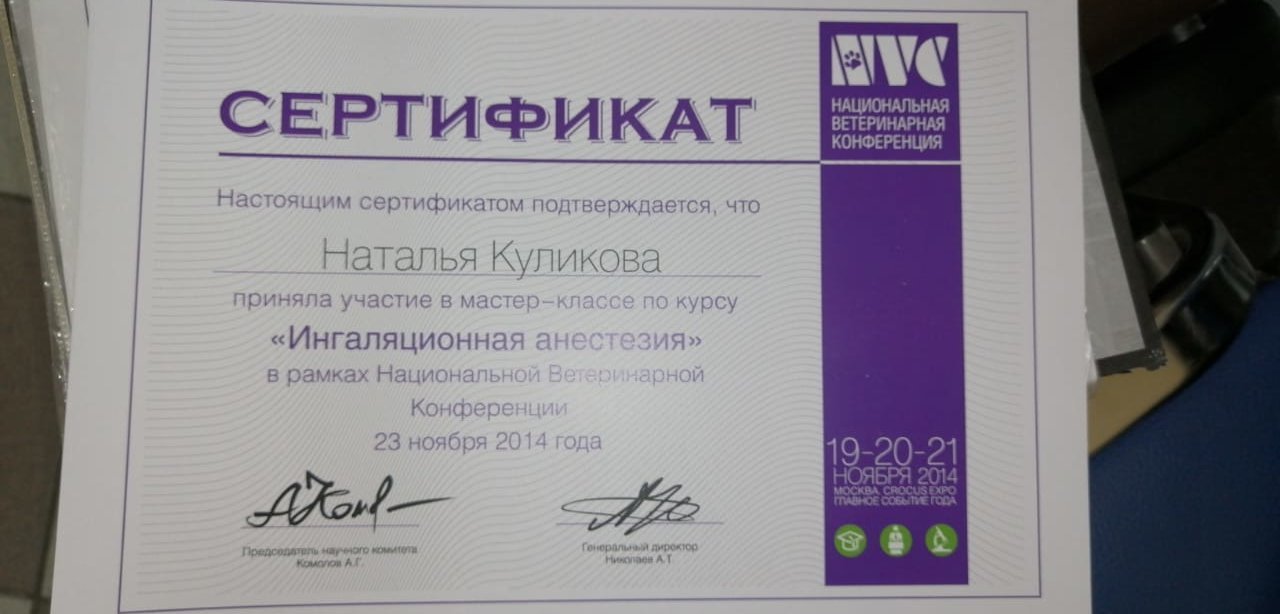Документ или сертификат