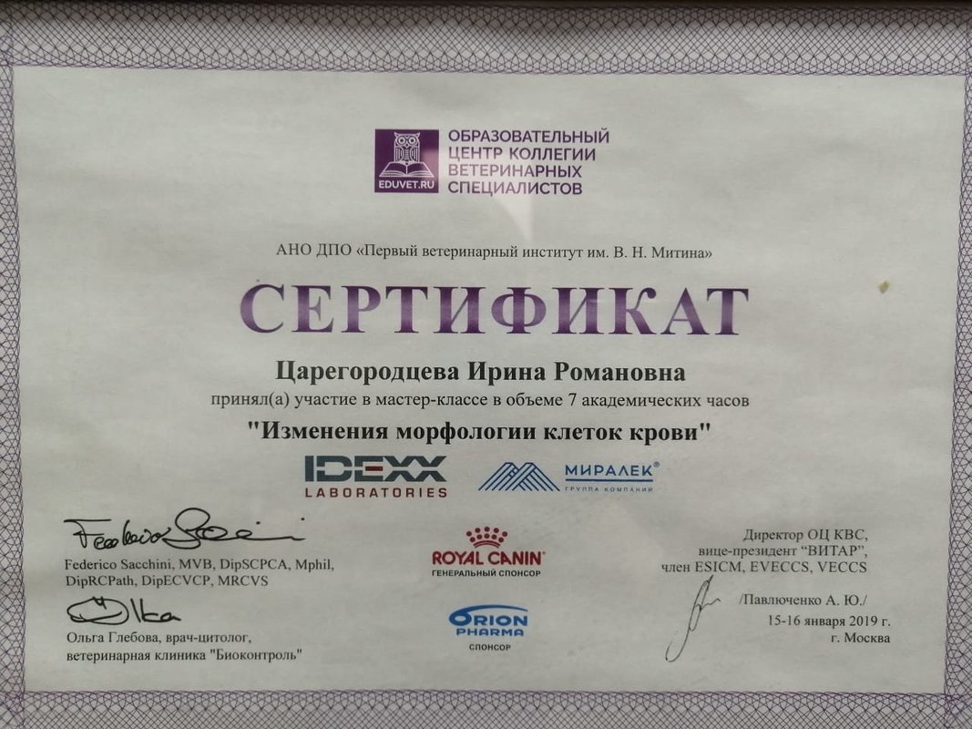 Документ или сертификат