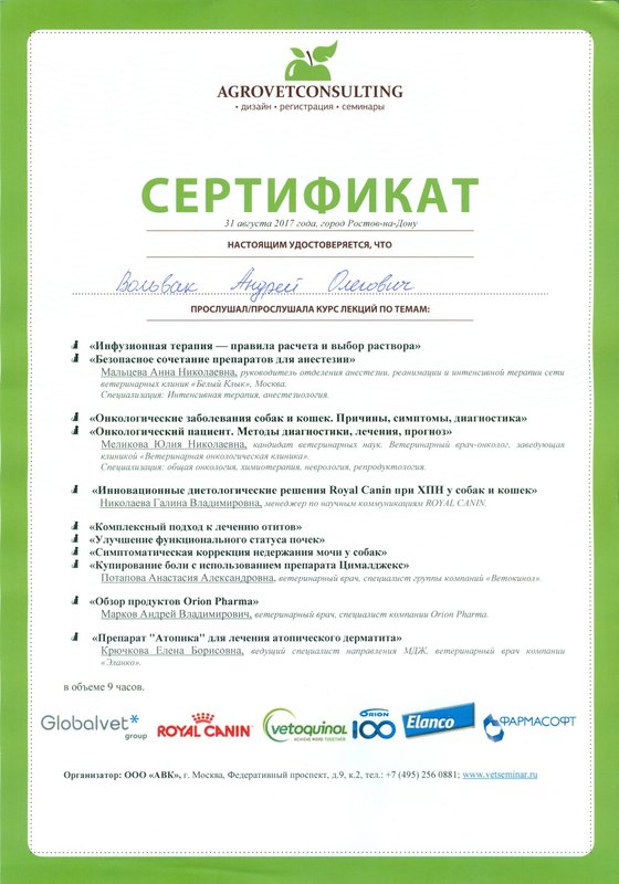 Документ или сертификат