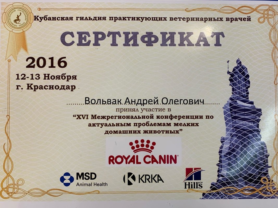 Документ или сертификат