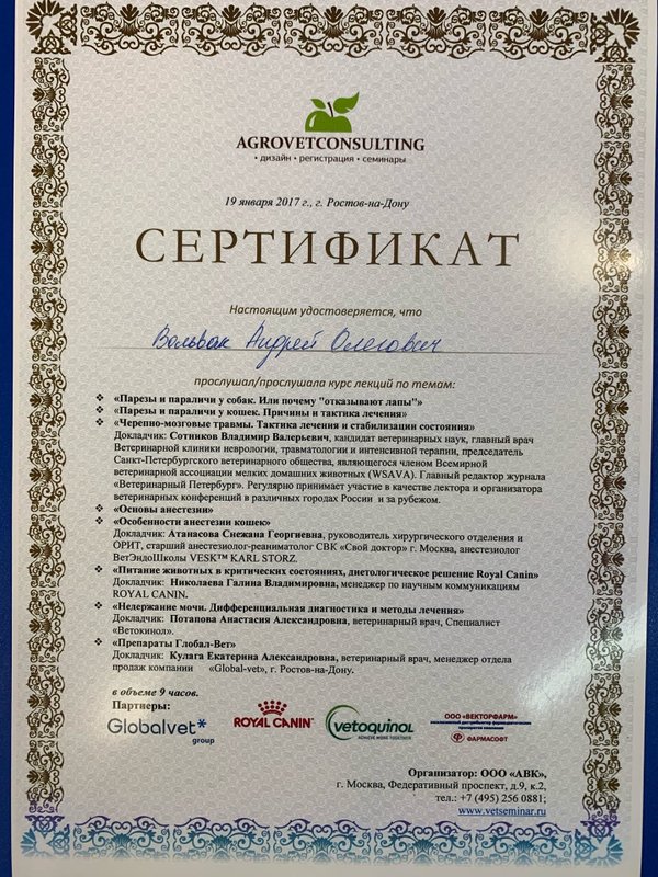 Документ или сертификат