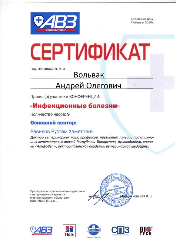 Документ или сертификат