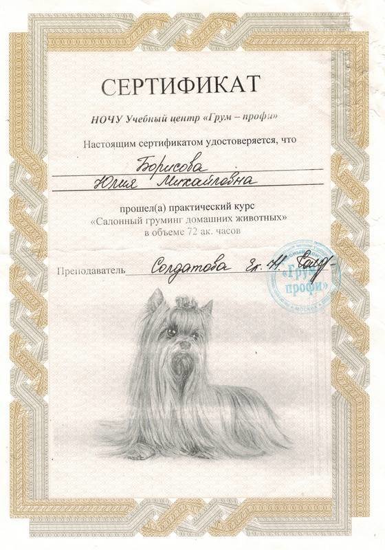Документ или сертификат