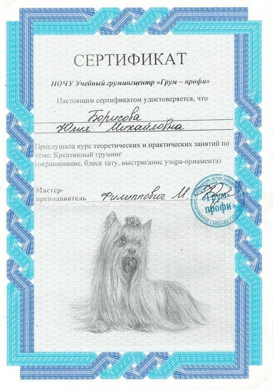 Документ или сертификат