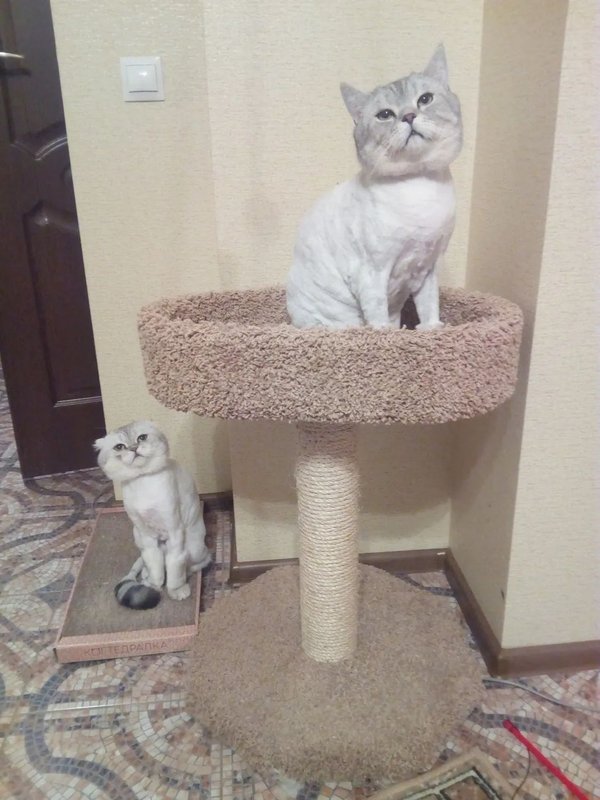 Фото врача
