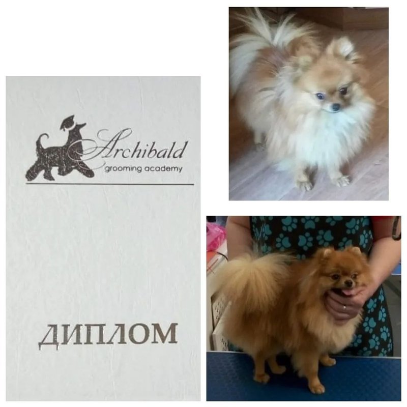 Фото врача
