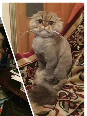 Фото врача Фроликова Марина Валерьевна