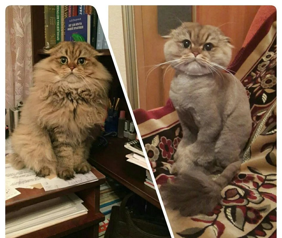 Фото врача