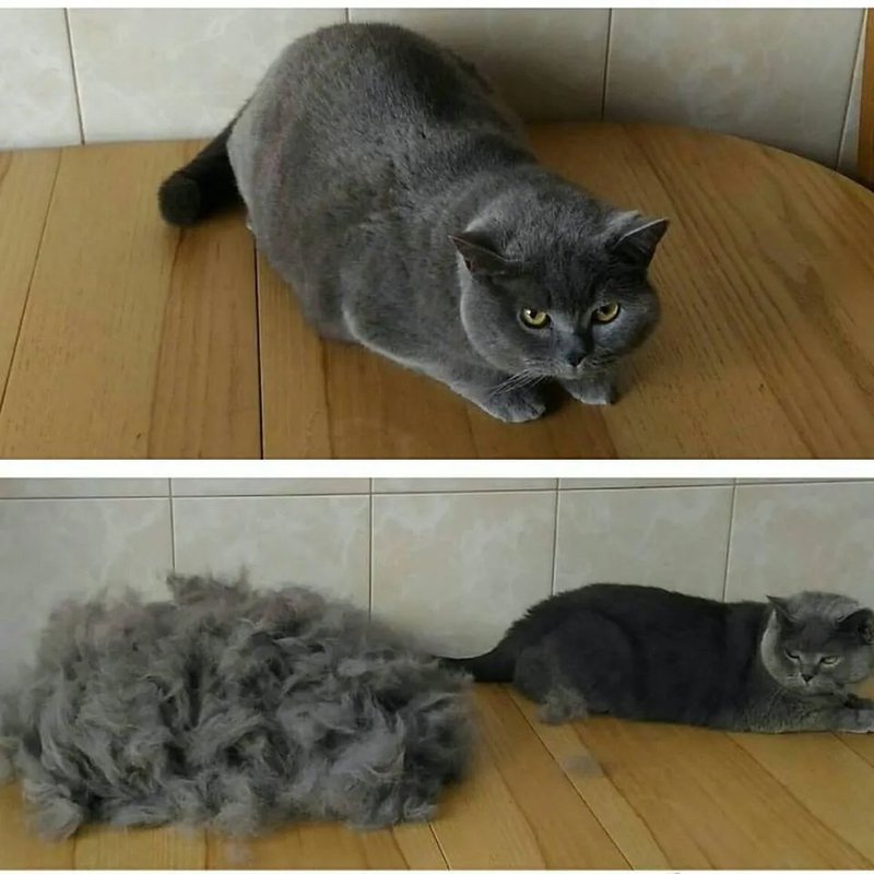 Фото врача