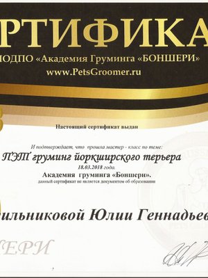 Фото «Юля К.»