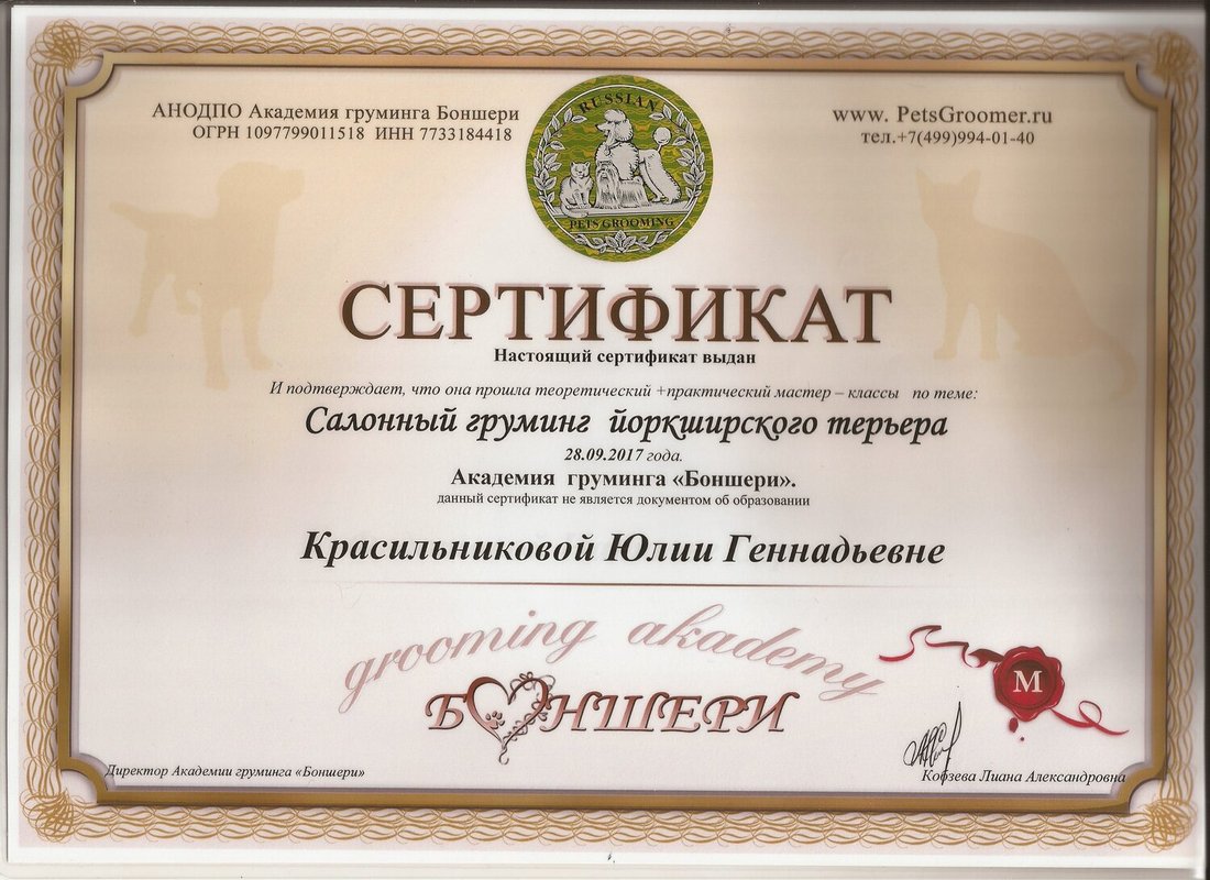 Документ или сертификат