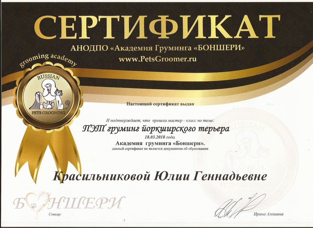 Документ или сертификат