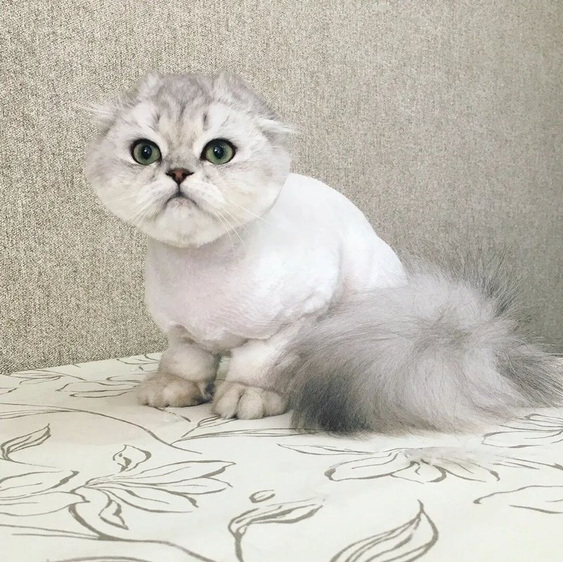 Фото врача