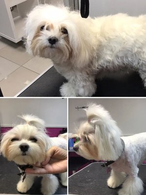 Фото врача Ситникова Валерия Владимировна