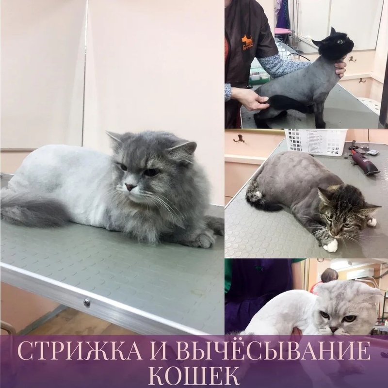 Фото врача
