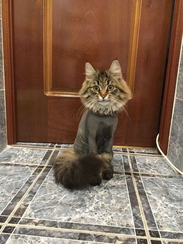 Фото врача