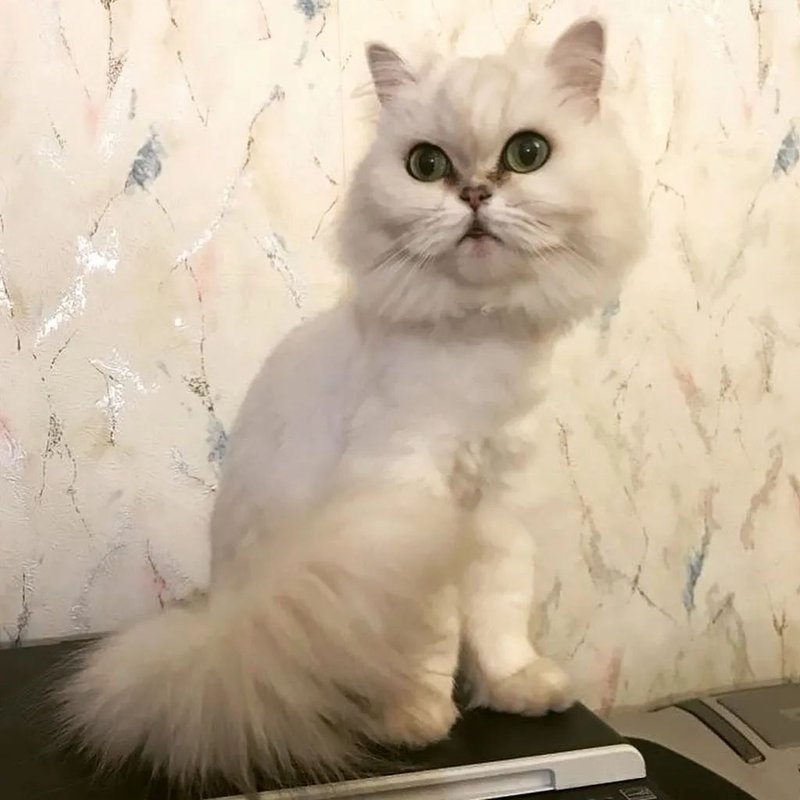 Фото врача