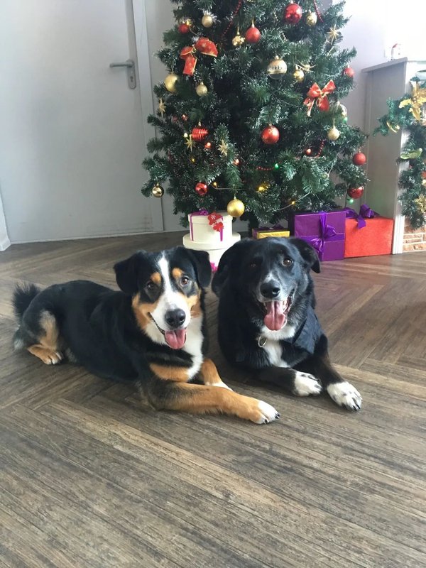 Фото врача