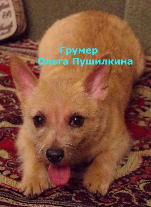 Фото врача