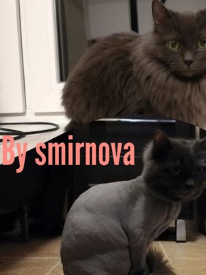 Фото врача Смирнова Анна Владимировна