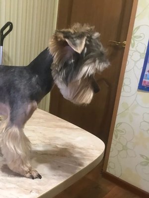 Фото врача Немова Татьяна Вячеславовна