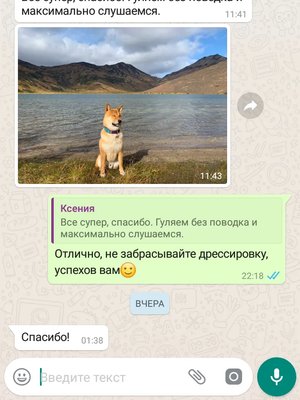 Фото врача Канаев Иван
