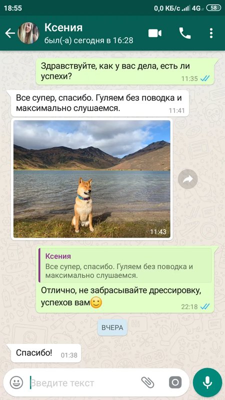Фото врача