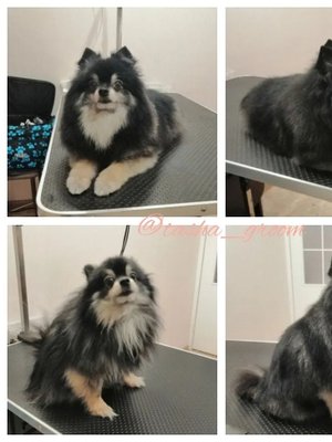 Фото врача Сысоева Наталья Павловна