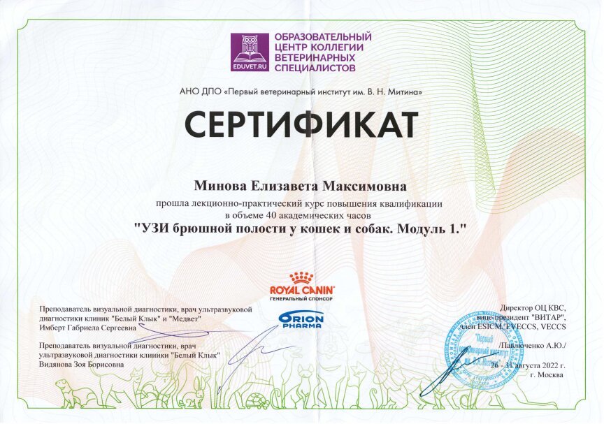 Документ или сертификат