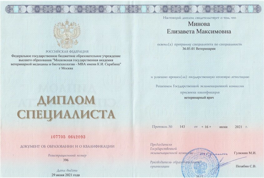 Документ или сертификат