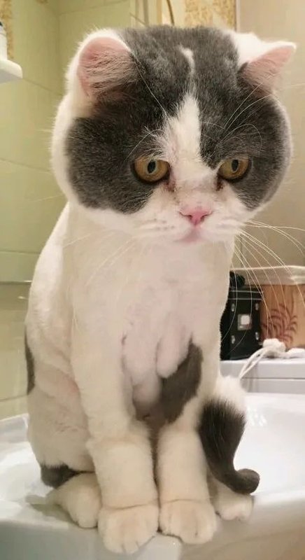Фото врача