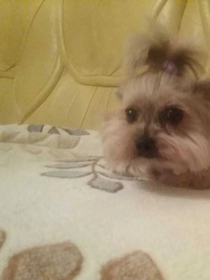 Фото врача Иванова Светлана Анатольевна