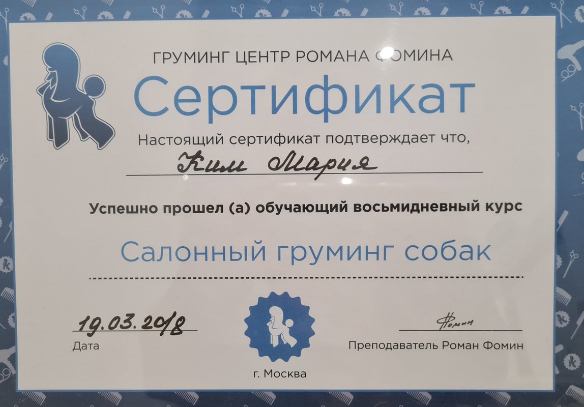 Документ или сертификат