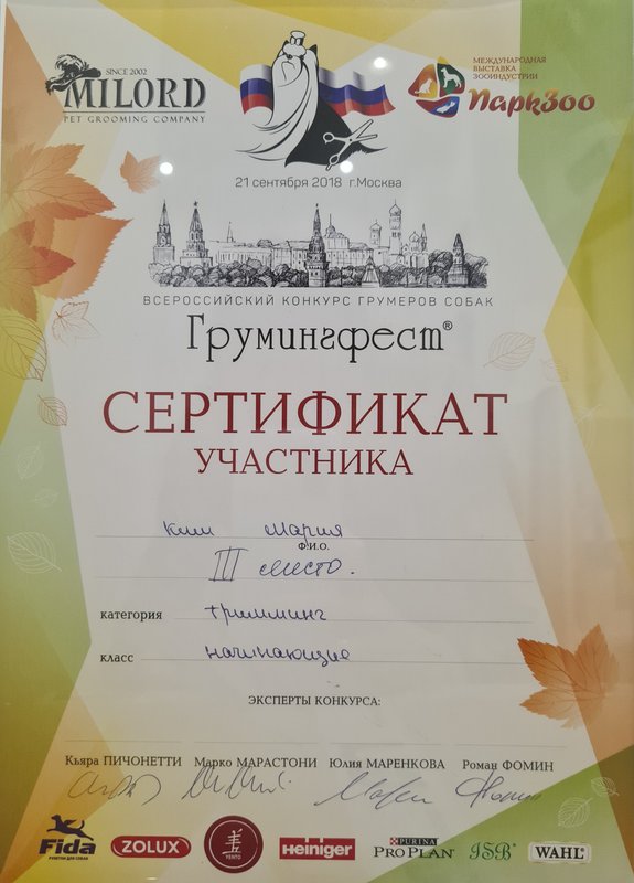 Документ или сертификат
