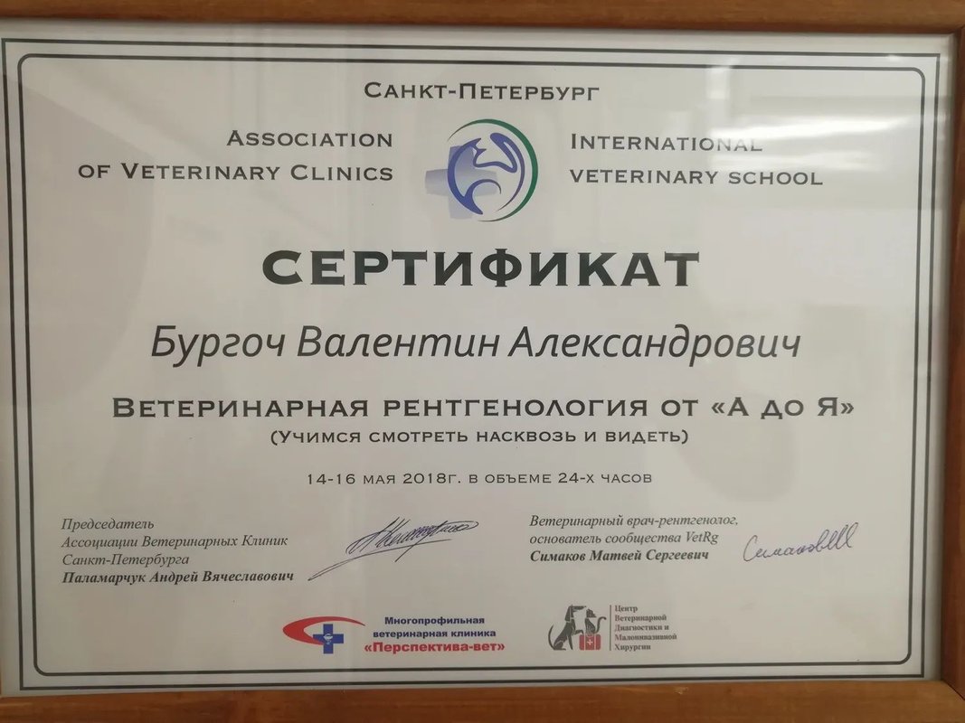 Фото врача