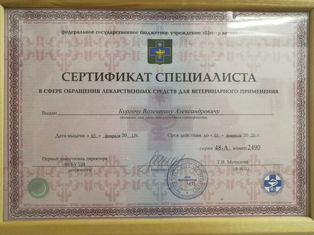 Фото врача