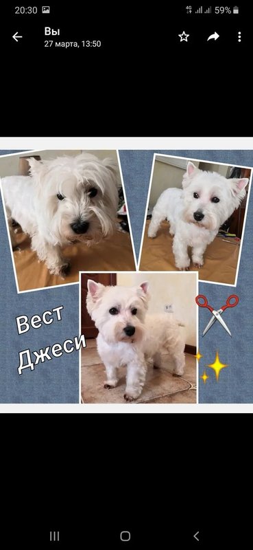 Фото врача