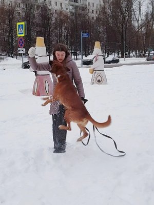 Фото врача Гоголадзе Дарья Сергеевна