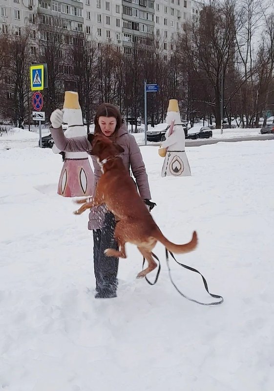 Фото врача